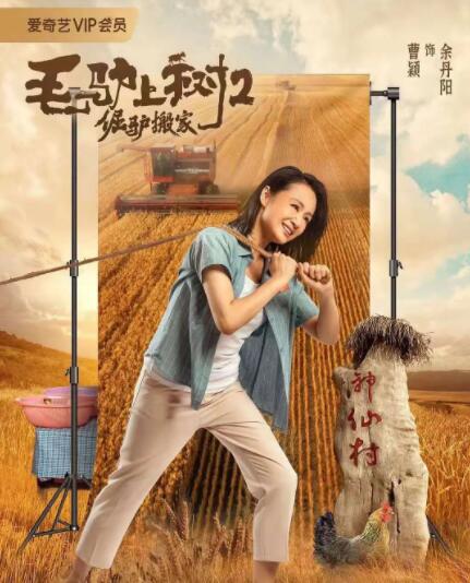 我们等待的这20年，反而变成了理解这部电影的重要基础和财富，因为我们都活在这20年的混乱、困惑和一切飞速变化的图景中。
