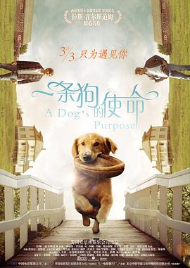 光影之间,是银幕一帧,是人生一瞬,是世界一隅,是2024电影人的年度心声。